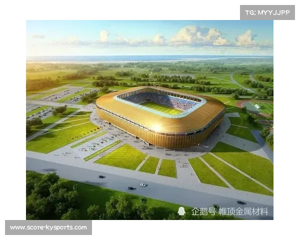 非洲体育产业发展迅速 肇庆体育场地建设成效显著人均面积创新高 非洲体育产业发展迅速 肇庆体育场地建设成效显著人均面积创新高